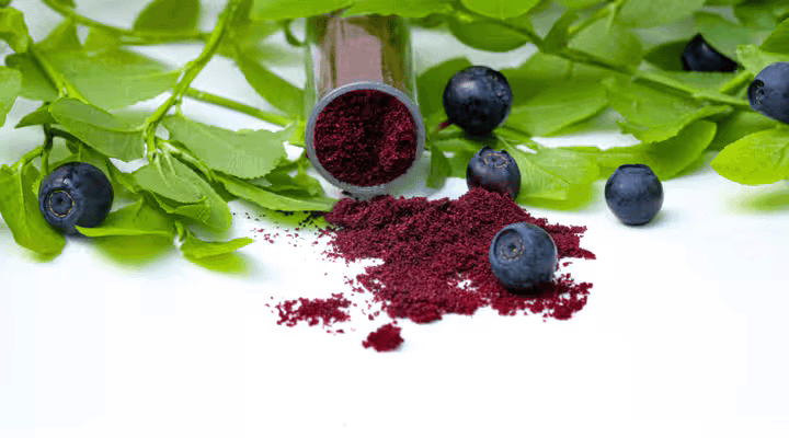 Bilberry Extract